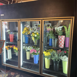 Bush Refrigeration 3 Door Floral Display Cooler with walk in back cooler