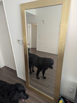Gold Full-Length Floor Mirror