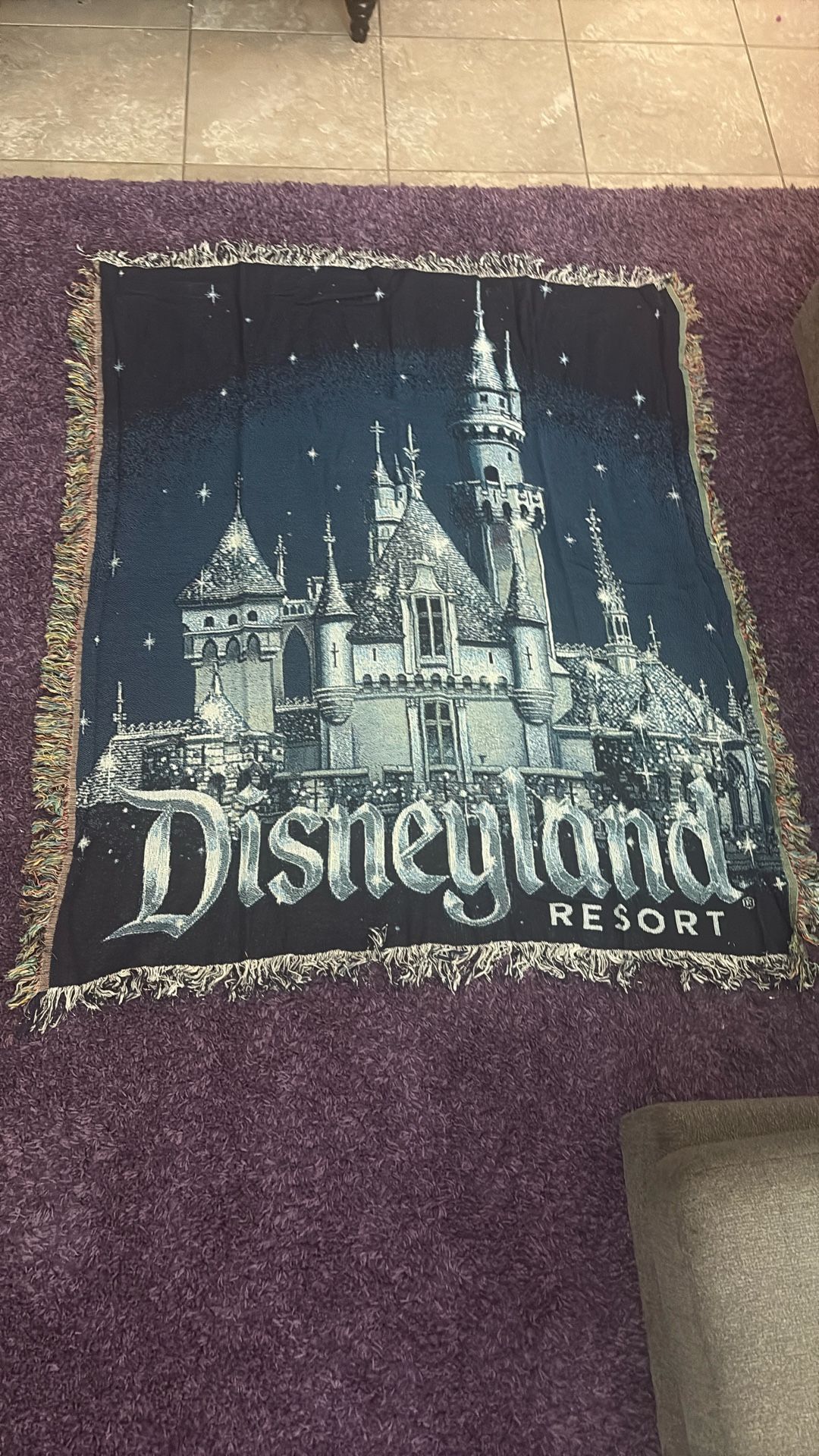Disneyland Throw