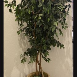Big Artificial Tree