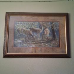 Pictures