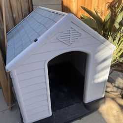 Dog House 