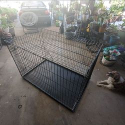 Extra large Dog Kennel