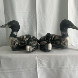 Family of (stuffed) Loons!