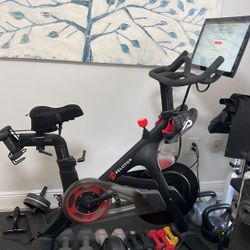 Vendo Pelotón Modelo RBIVO