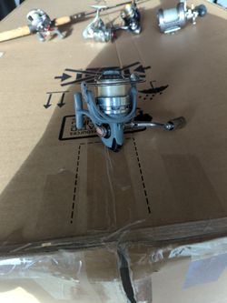 Blacktip Inshore Reel