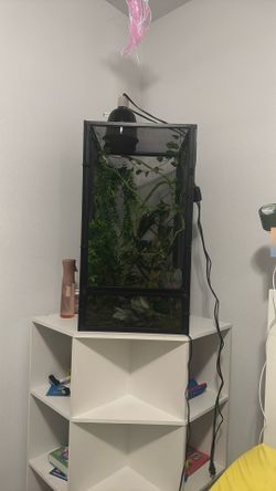 Reptile Enclosure