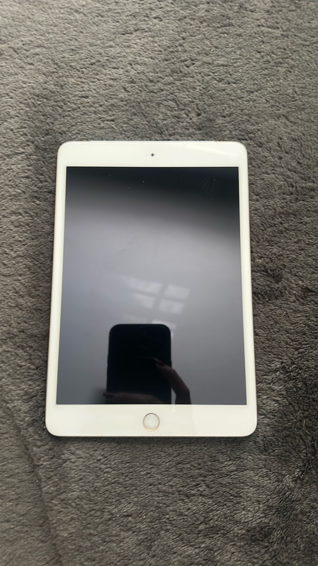 iPad Mini 3