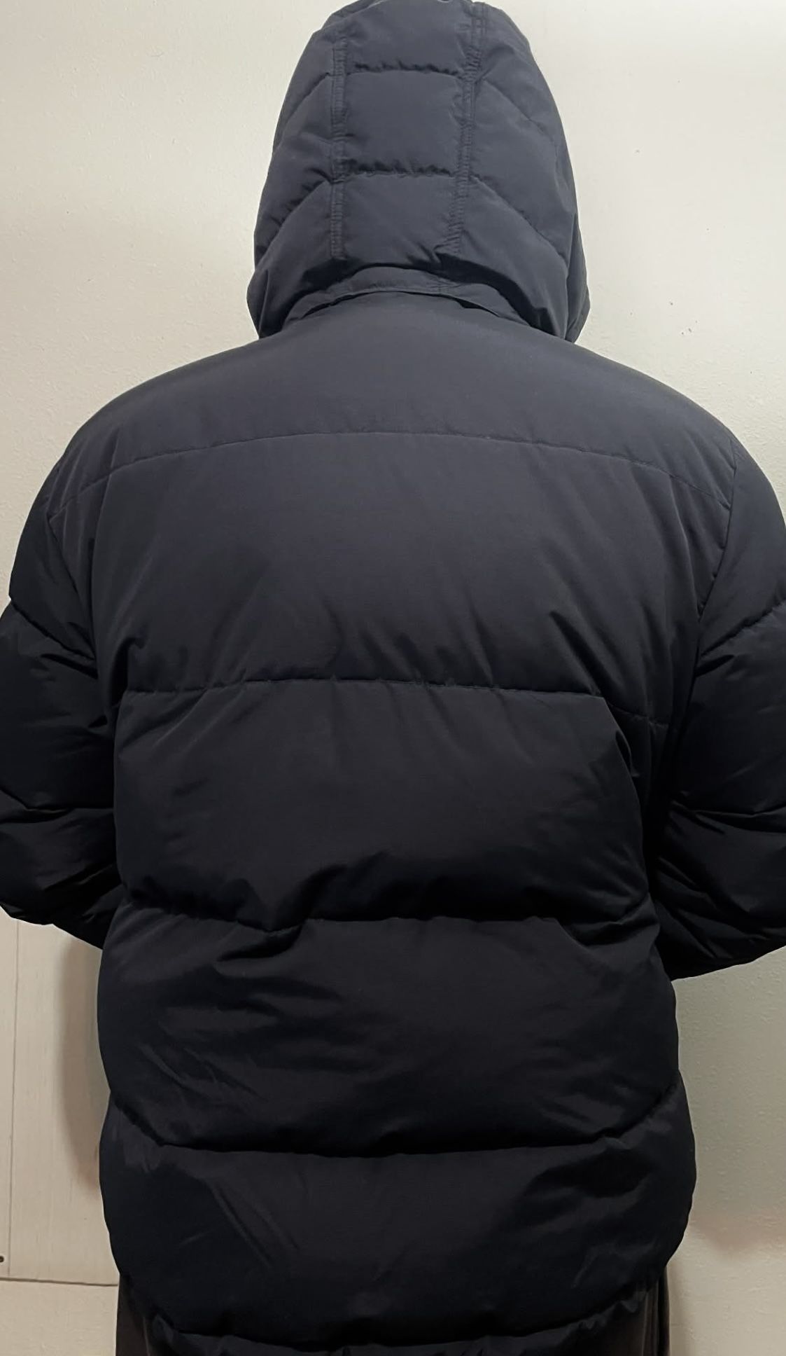 Dickies Puffer