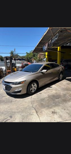 <<Window Film Tint Automotive >>