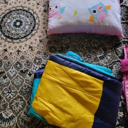 TWO SLEEPBAGS AND 2 PILLOW in good condition (kids)