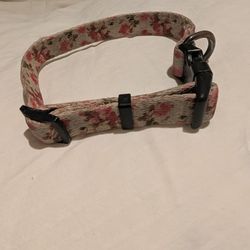 Dog Collar