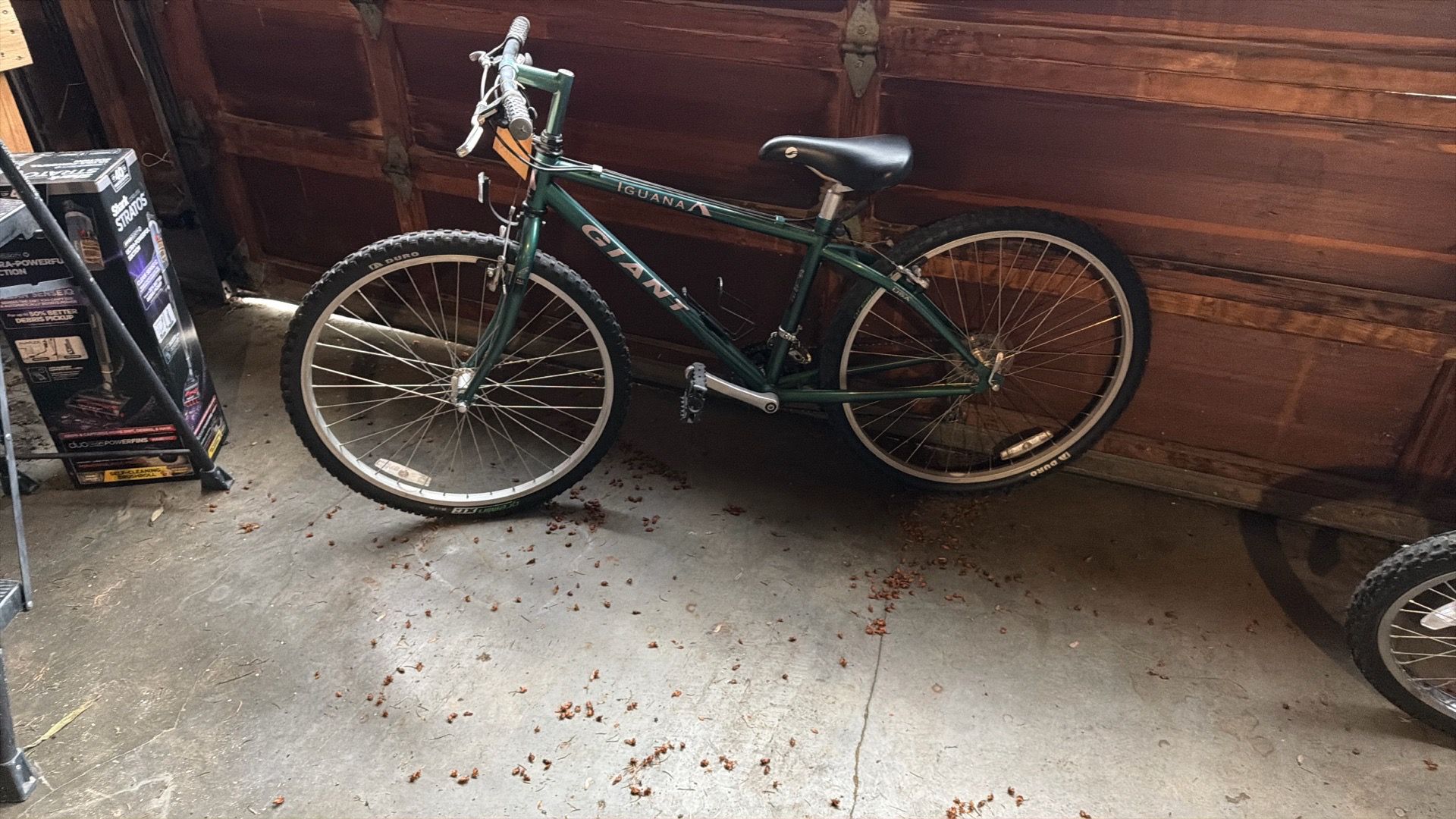 Mountain Bike