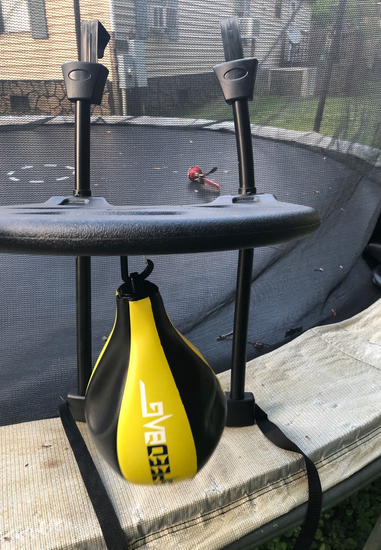 Speed bag