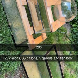 Fish Tanks