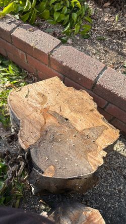 Only the wood is free