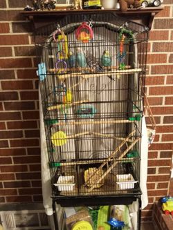 4 Beautiful Parakeets Come With Cage On Stand With Rollers 