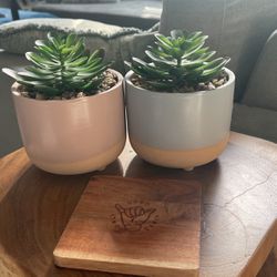 Set Of 2 Fake Plants 