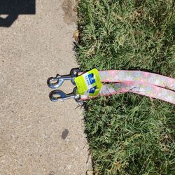 Dog Leashes 