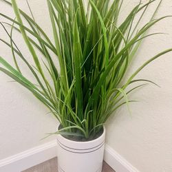 Faux Plant 