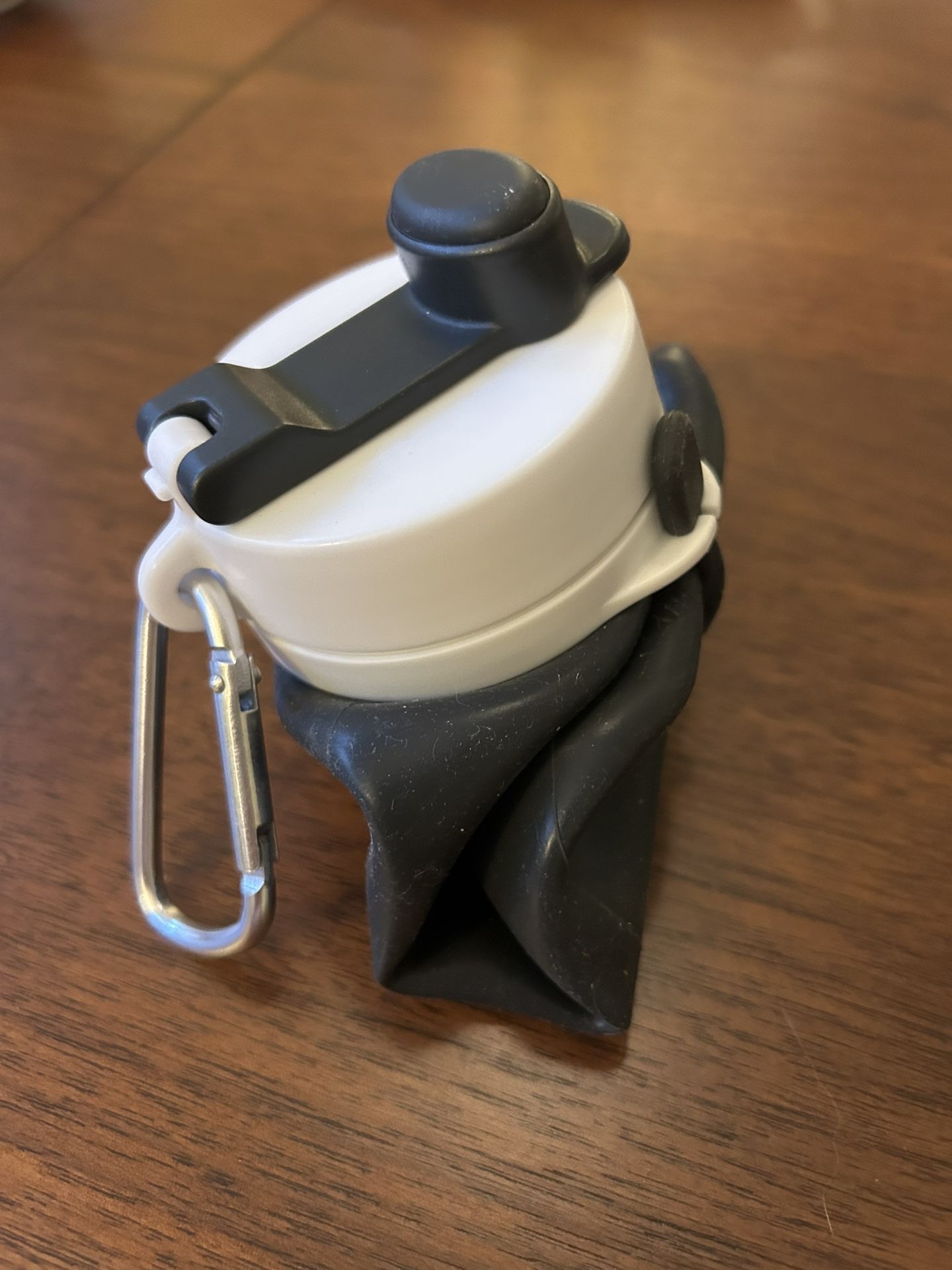 Collapsible Water Bottle