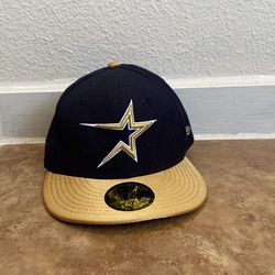 Houston Astros Team Hat