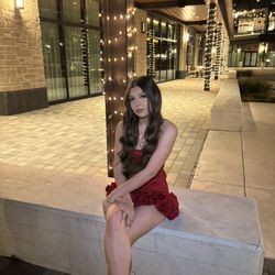 Red rose dress mini dress 