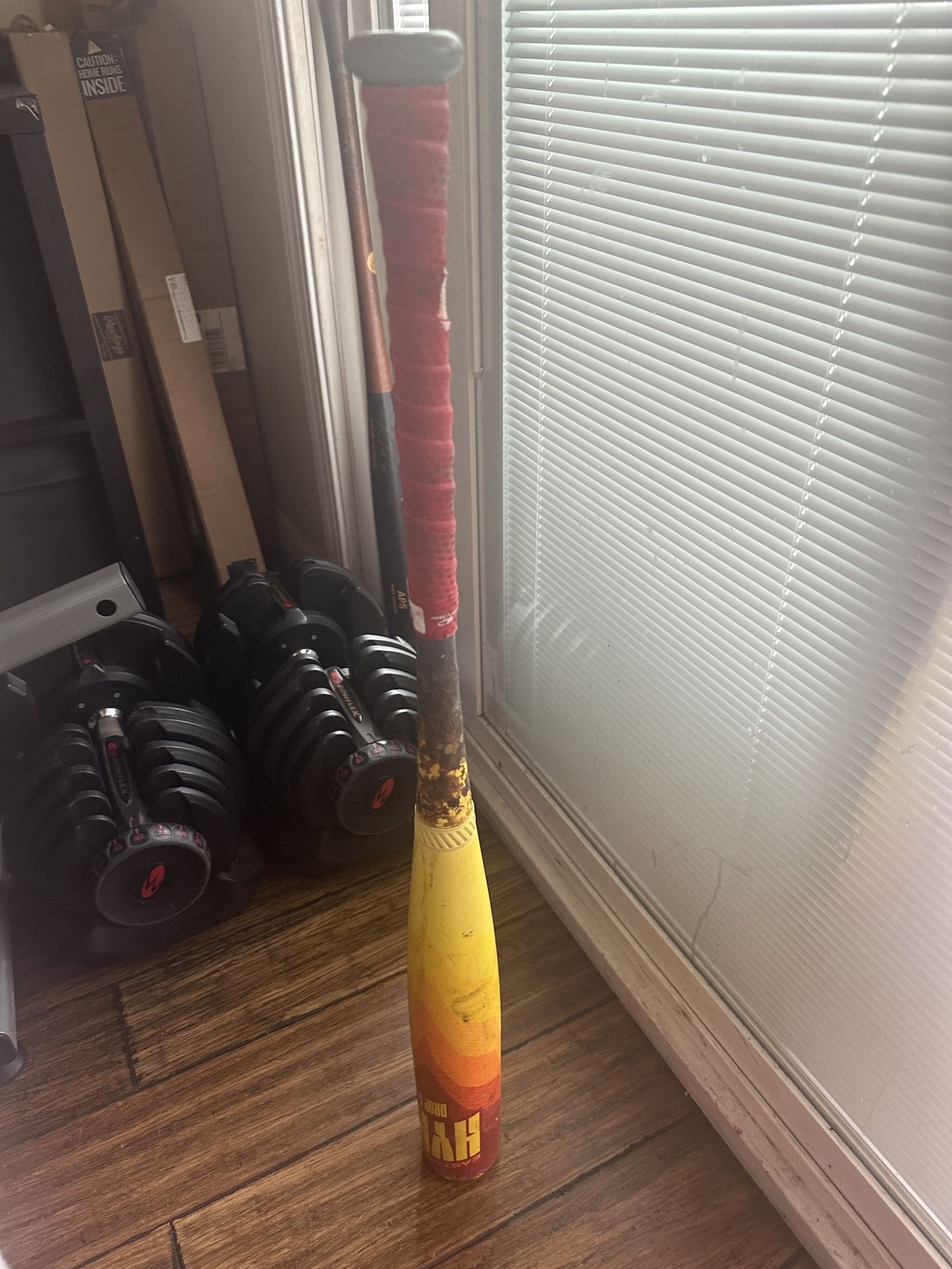 Easton Hype Fire Baseball Bat