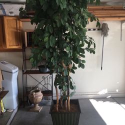 Tall Artificial Tree $75