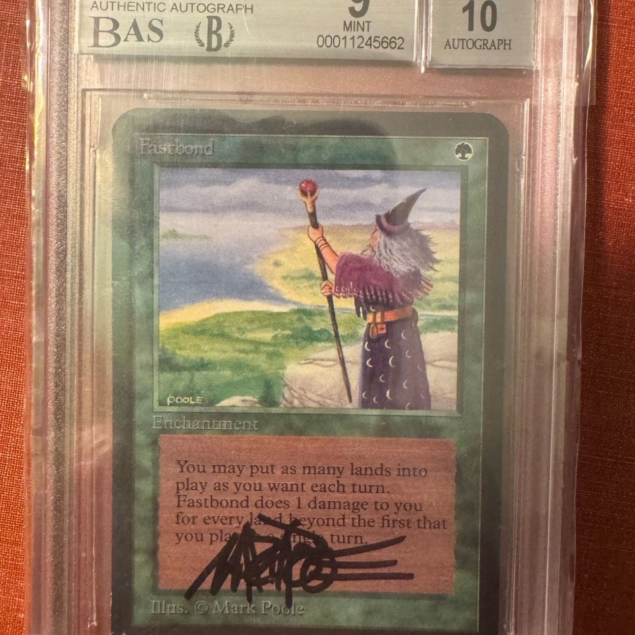 mtg alpha cards for sale Fastbond magic The Gathering Signed mint in Dallas, TX destroy that creature if it attacked this turn. Shivan Dragon [Alpha Edition] Lightly