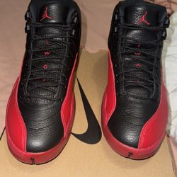 Air Jordan 12 Flu Game 
