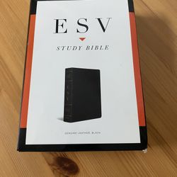 Study Bible 