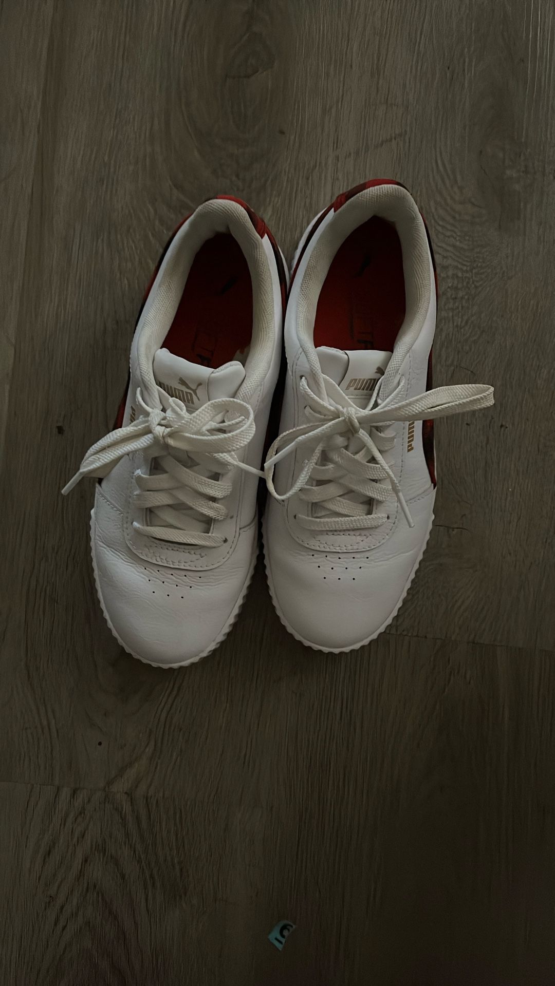 Pumas