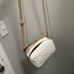 Two Small Clutch/Shoulder Purses