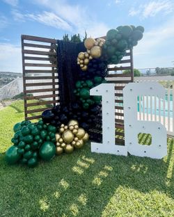Sweet Sixteen/Quinceniera Party Decoration