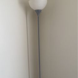 Moving Need Them Gone House Hold