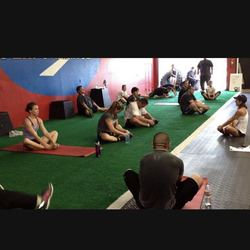 Padded Turf – 995 sq ft (15.5’ x 63’)