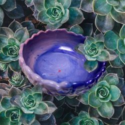 Planter Different Colors 