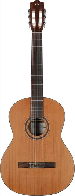 Acoustic guitar