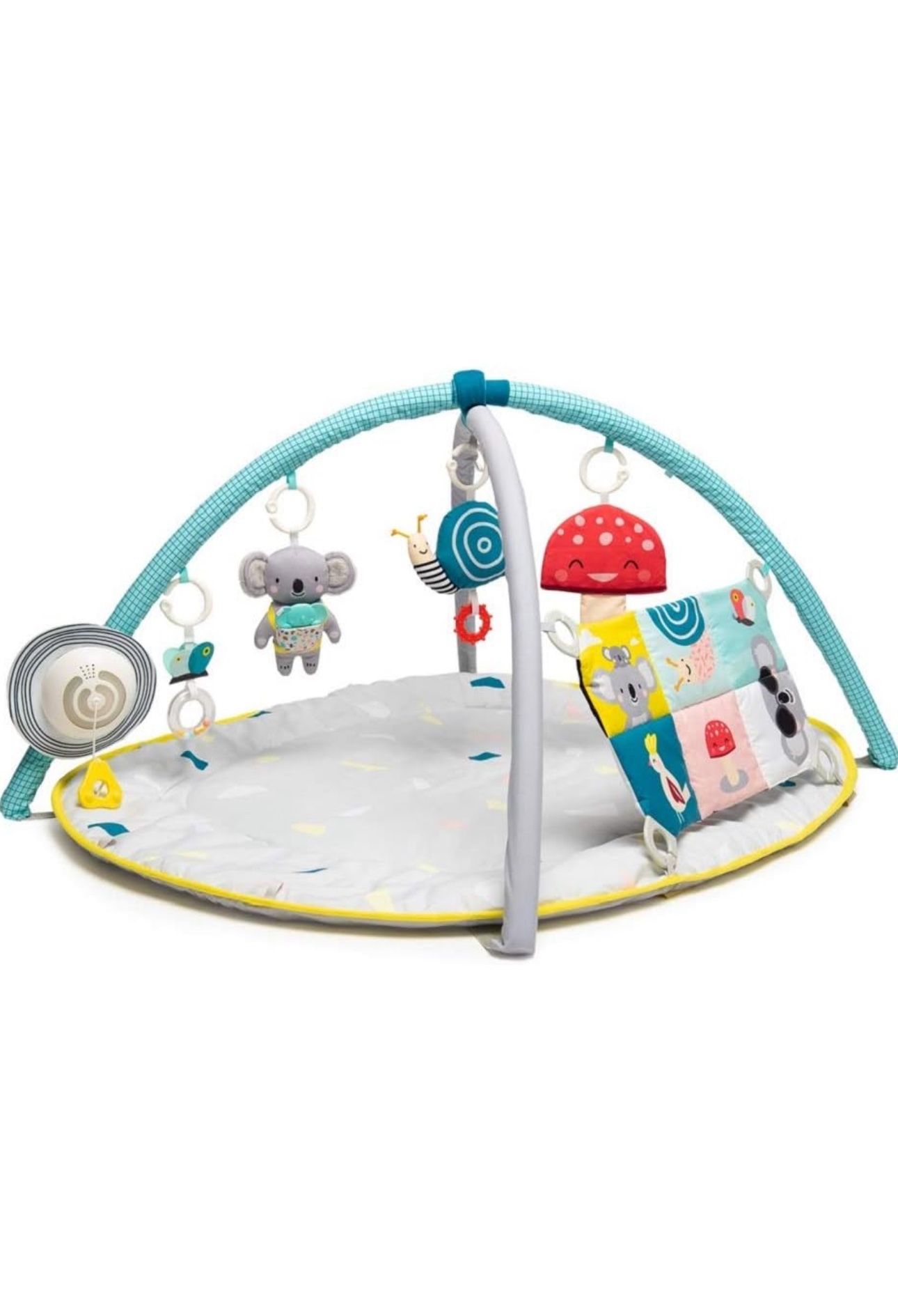 Baby Activity Gym