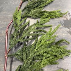 *****9’ Beautiful Norfolk Pine*****