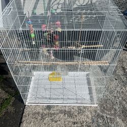 Bird Cage 