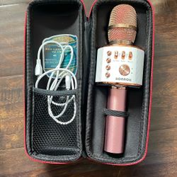  Karaoke Microphone with Case 