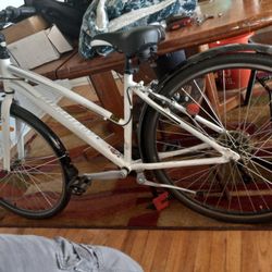 City Cruiser Bicycle