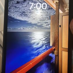 iPad Pro (12.9-inch) 4th Gen (1TB) W/ Apple Pencil + Celluar