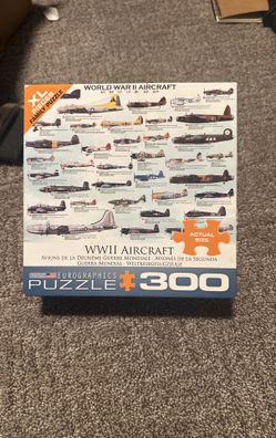 Airplane Puzzle