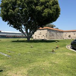 Burial Plot