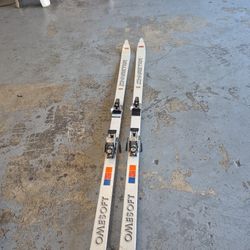 Omesoft Ski 73 Inches 