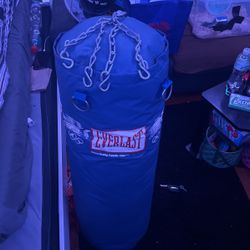 EVERLAST PUNCHING BAG