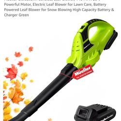 Muell Er Cordless Leaf Blower